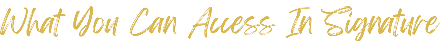 Showcase Signature Video Menu